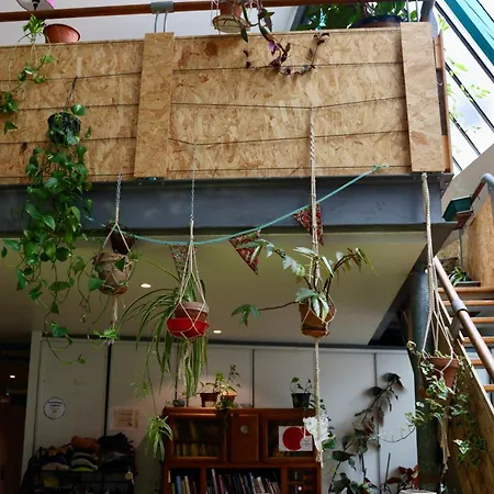 Auberge de jeunesse Alter'hostel